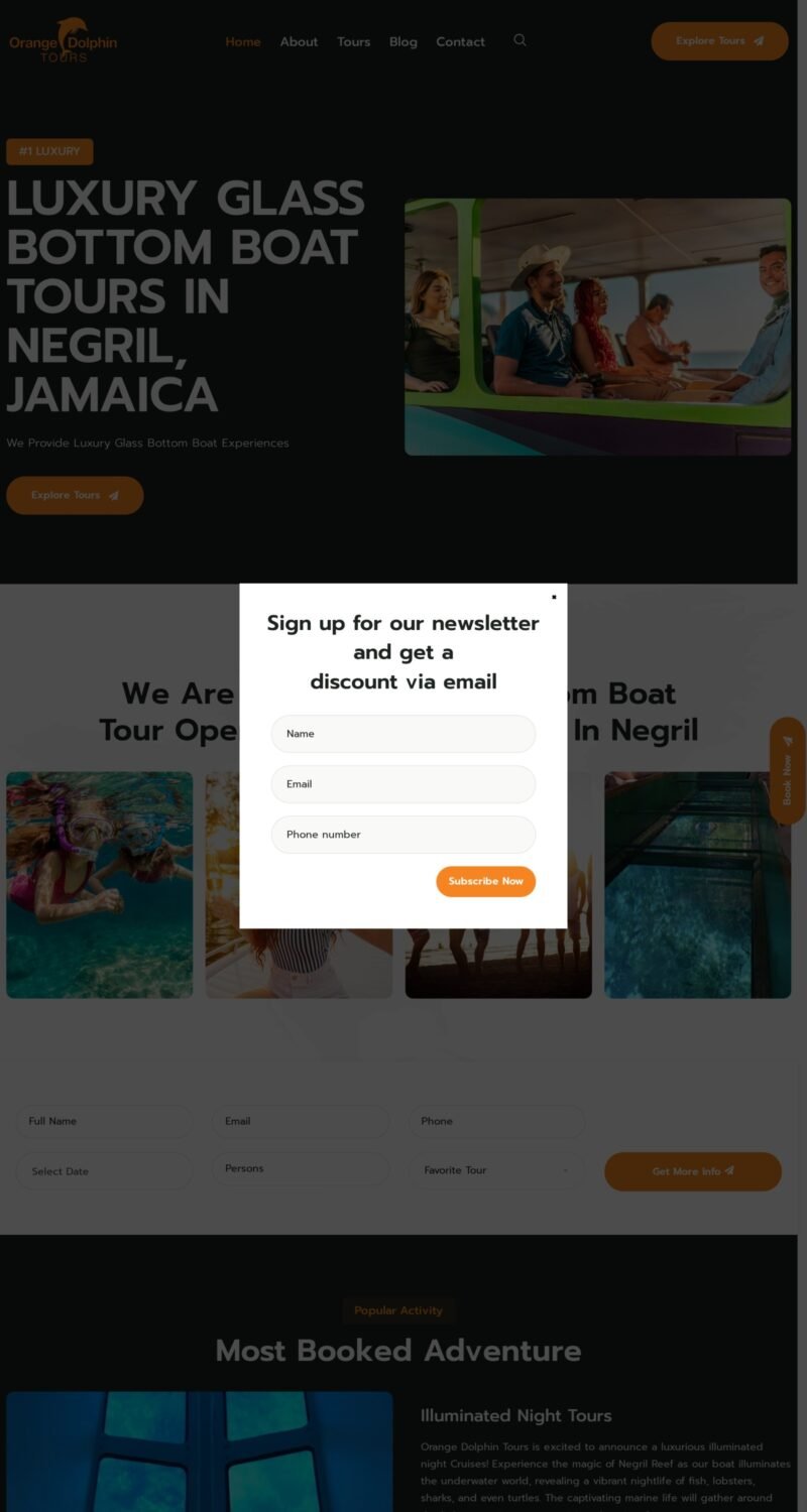 Orange Dolphin Tours website on desktop