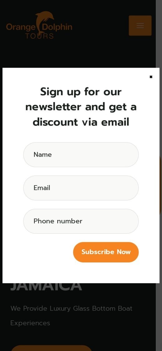 Orange Dolphin Tours website on mobile